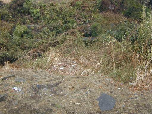 ���m���[���ՂQ