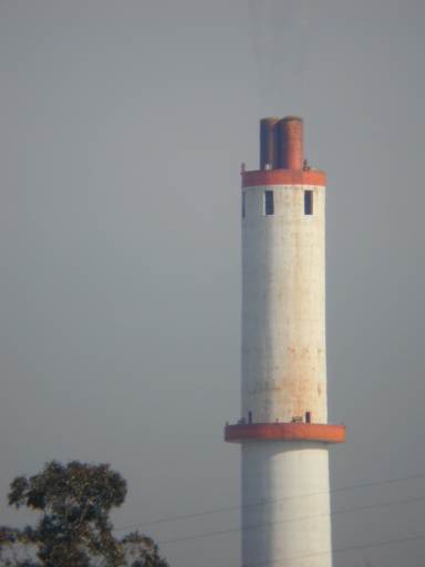 ���̉���