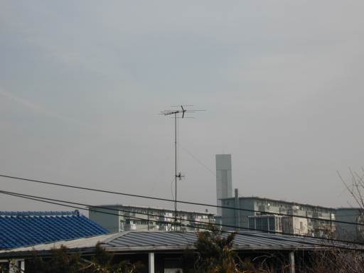 �������Ă��̂ɁA�C�Â��Ȃ����̂ł��B