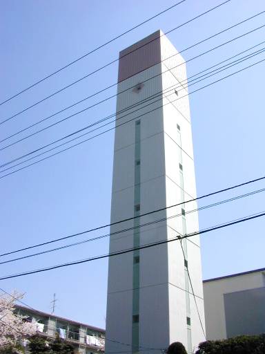 �V�����u�c�n�A�ԖX�q