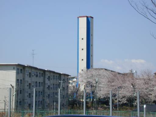 �s��c�n�A�����N�₩