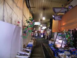 ���}�a�̌��w�̐���