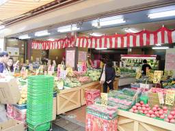 ���C�Ȕ��S������