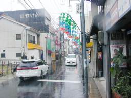 �{�������_����