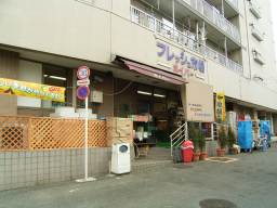 �q���s���