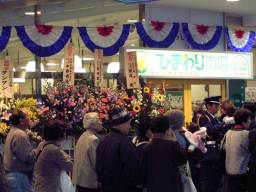 �{���͓����f�O���܂����B