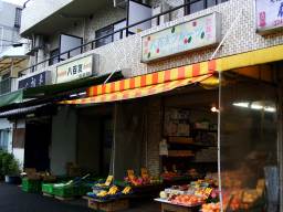 �򒬑�F���p�i�s���